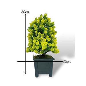 Yapay Çiçek Bonsai Ağacı Sarı Kozalak Model Dekoratif Yapay Ağaç Bonzai 30*15 Cm Siyah Kare Saksıda