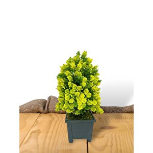 Yapay Çiçek Bonsai Ağacı Sarı Kozalak Model Dekoratif Yapay Ağaç Bonzai 30*15 Cm Siyah Kare Saksıda