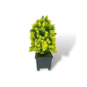 Yapay Çiçek Bonsai Ağacı Sarı Kozalak Model Dekoratif Yapay Ağaç Bonzai 30*15 Cm Siyah Kare Saksıda