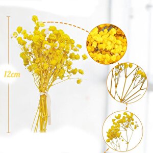 10lu Set Kuru Çiçek Doğal Sari Cipso Şoklanmış Bozulmaz