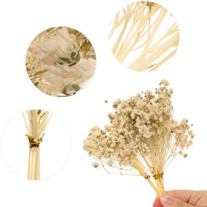 10lu Set Kuru Çiçek Doğal Krem Cipso Şoklanmış Bozulmaz
