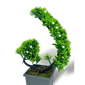 Yapay Çiçek Bonsai Ağacı Beyaz Eğik Model Dekoratif Yapay Ağaç Bonzai 30*22 Cm Siyah Kare Saksıda