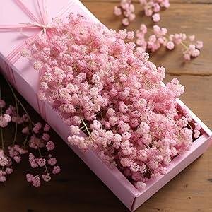 10lu Set Kuru Çiçek Doğal Cipso Şoklanmış Bozulmaz 10farklı  Karışık Renkler