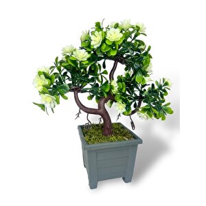 Yapay Çiçek Beyaz Çiçekli Bonsai Ağacı Dekoratif Yapay Ağaç Bonzai 29*24 Cm Siyah Kare Saksıda