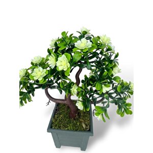 Yapay Çiçek Beyaz Çiçekli Bonsai Ağacı Dekoratif Yapay Ağaç Bonzai 29*24 Cm Siyah Kare Saksıda