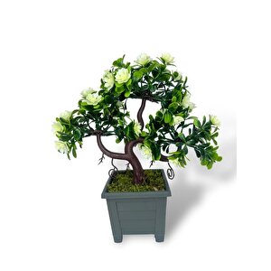 Yapay Çiçek Beyaz Çiçekli Bonsai Ağacı Dekoratif Yapay Ağaç Bonzai 29*24 Cm Siyah Kare Saksıda