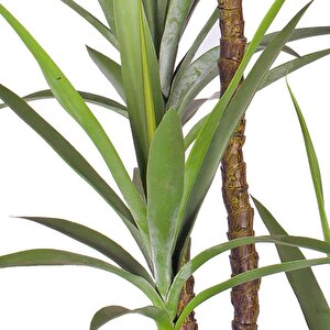 Yapay Ağaç Dracaena Ağacı 4gövdeli 180 Cm Premium Kalite