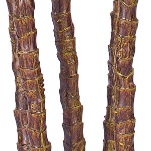 Yapay Ağaç Dracaena Ağacı 4gövdeli 180 Cm Premium Kalite