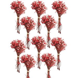 10lu Set Kuru Çiçek Doğal Kirmizi Cipso Şoklanmış Bozulmaz