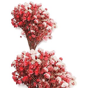 10lu Set Kuru Çiçek Doğal Kirmizi Cipso Şoklanmış Bozulmaz