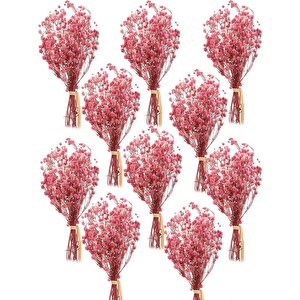 10lu Set Kuru Çiçek Doğal Pembe Açik Cipso Şoklanmış Bozulmaz