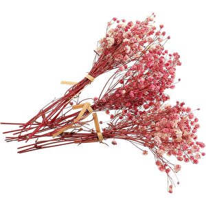 10lu Set Kuru Çiçek Doğal Pembe Açik Cipso Şoklanmış Bozulmaz