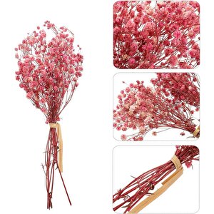 10lu Set Kuru Çiçek Doğal Pembe Açik Cipso Şoklanmış Bozulmaz