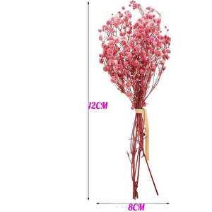 10lu Set Kuru Çiçek Doğal Pembe Açik Cipso Şoklanmış Bozulmaz