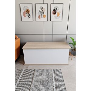 Sandık Dekoratif Ahşap Lüks Sandık Çeyiz Sandığı Salon Antre Mobilyası Organizer Saklama Kutusu 40x100