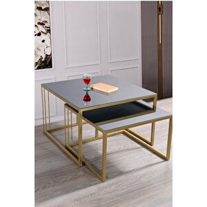 Siena Gold Metal Ayaklı Füme Aynalı Orta Sehpa Takımı