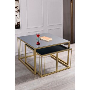 Siena Gold Metal Ayaklı Füme Aynalı Orta Sehpa Takımı