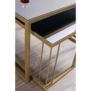 Siena Gold Metal Ayaklı Füme Aynalı Orta Sehpa Takımı