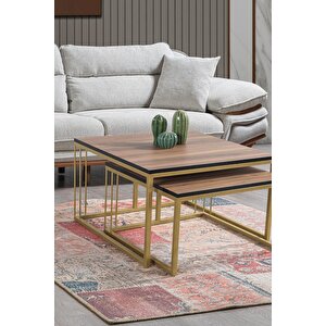 Si̇ena Gold Metal Ayakli Cevi̇z Üst Tabla Orta Sehpa Takimi
