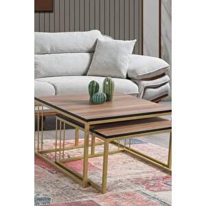 Si̇ena Gold Metal Ayakli Cevi̇z Üst Tabla Orta Sehpa Takimi