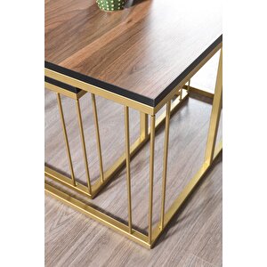 Si̇ena Gold Metal Ayakli Cevi̇z Üst Tabla Orta Sehpa Takimi