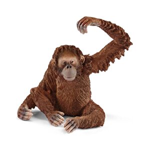 Schleich Dişi Orangutan Figürü