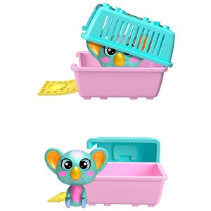 House Pets Evcil Hayvanlar
