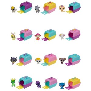 House Pets Evcil Hayvanlar