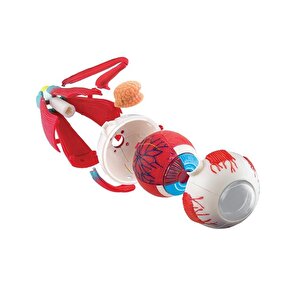 Göz Modeli 35 Parça 14 Cm
