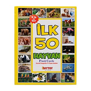 İlk 50 Hayvan Eğitici Eşleştirme Ve Bilgi Kartları Diytoy