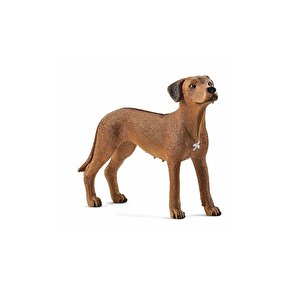 Schleich Rodezya Köpek Figürü