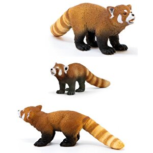 Schleich Kırmızı Panda 14833