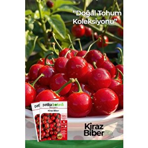 200 Adet Kiraz Biber Tohumu (tatlı)