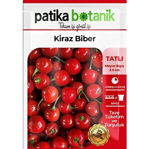 200 Adet Kiraz Biber Tohumu (tatlı)