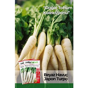 500 Adet Japon Turp Tohumu