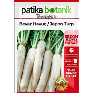 500 Adet Japon Turp Tohumu