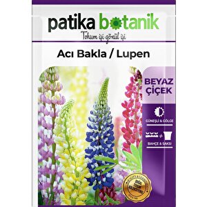 50 Adet Lupen/acı Bakla Tohumu