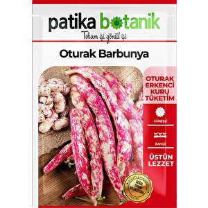 50 Adet Oturak Barbunya Tohumu (selim)