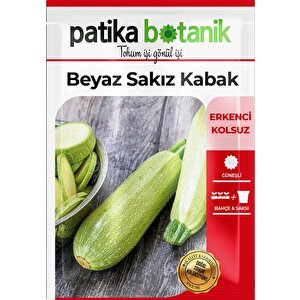 20 Adet Yerli Ata Beyaz Sakız Kabak Tohumu