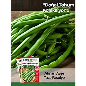50 Adet Alman Ayşe Tipi Sırık Fasulye Tohumu