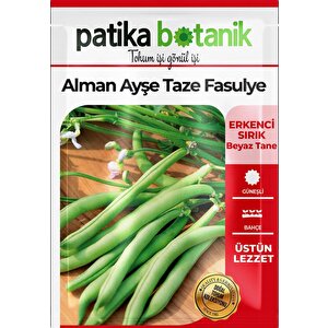 50 Adet Alman Ayşe Tipi Sırık Fasulye Tohumu
