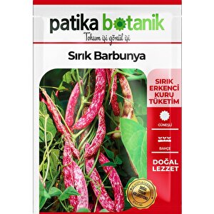 40 Adet Yerli Ata Sırık Barbunya Tohumu (selim)