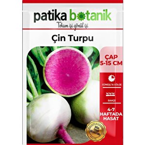 450 Adet Yerli Ata Çin Turp Tohumu