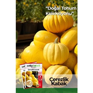 30 Adet Çerezlik Kabak Tohumu