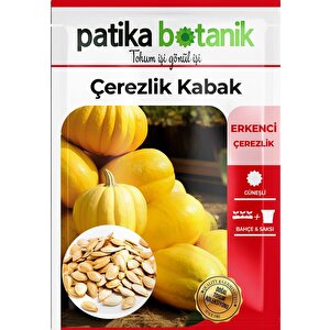 30 Adet Çerezlik Kabak Tohumu