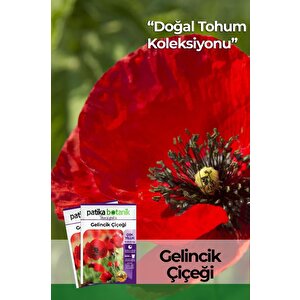 50 Adet Gelincik Çiçek Tohumu (papaver Rhoeas)