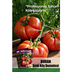 10 Adet Buran Domates Tohumu