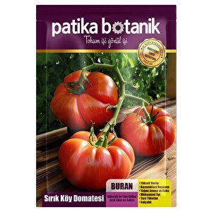 10 Adet Buran Domates Tohumu