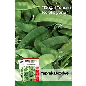 40 Adet Yerli Ata Yaprak Bezelye Tohumu