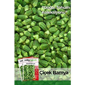 80 Adet Yerli Ata Çiçek Bamya Tohumu